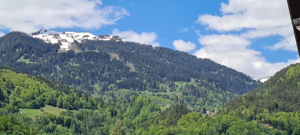 Ferienwohnung Willi Schruns Bagian luar foto